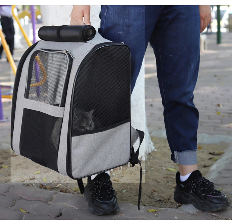 Pet Backpacks