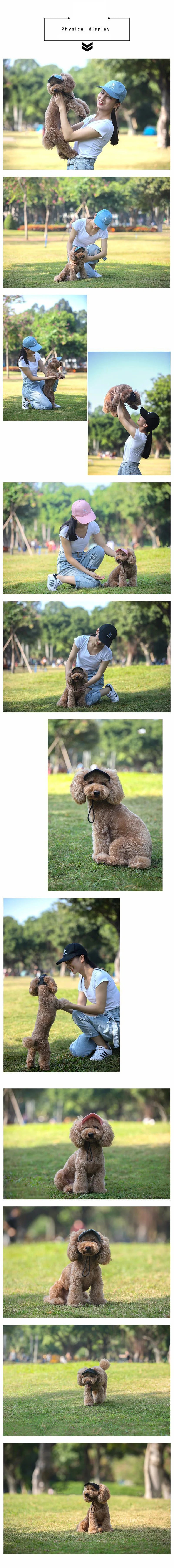 Adjustable Puppy Baseball Hat With Ear Holes