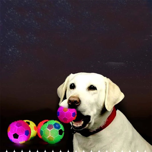 Pet Glowing Night Ball Toy