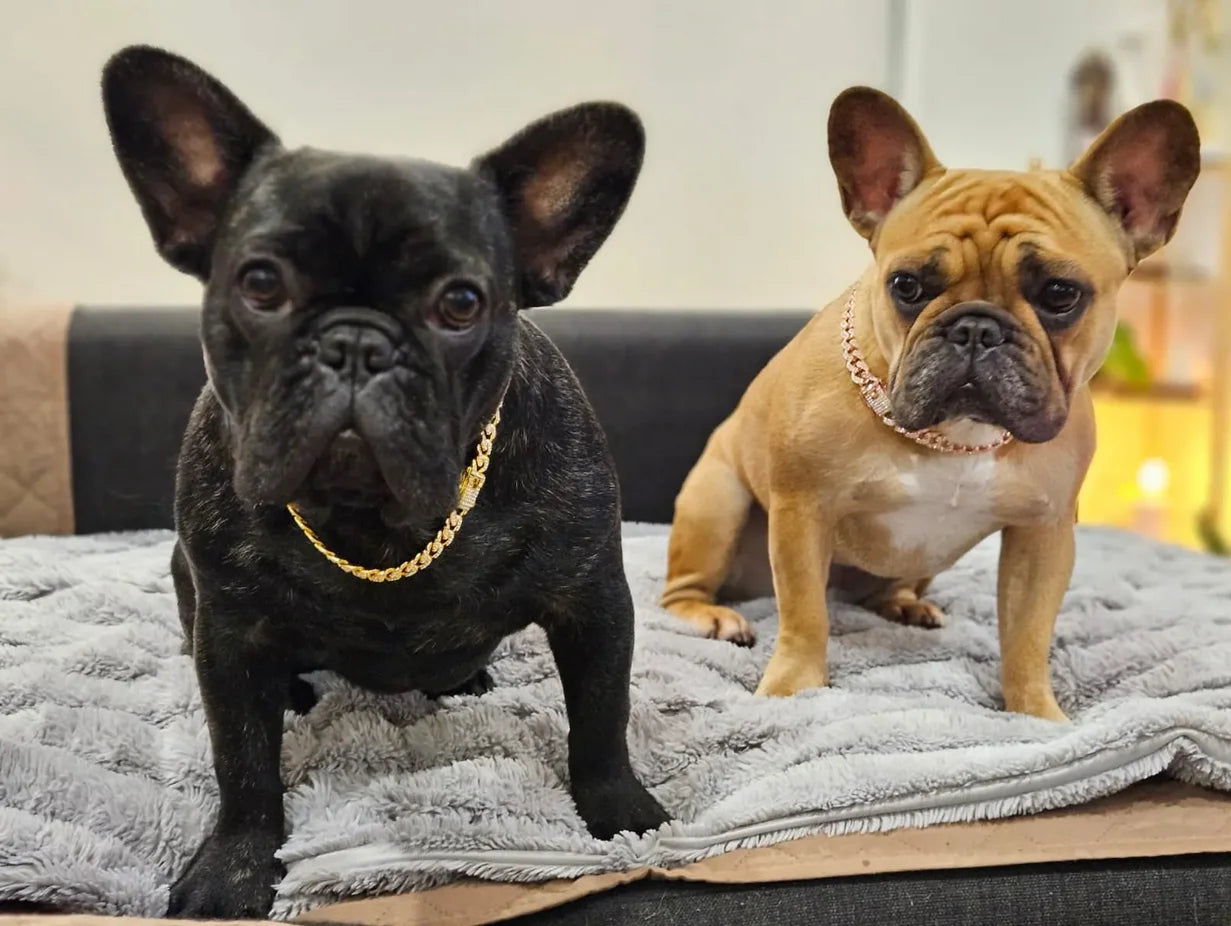 Dog Chain Diamond Cuban Collar Walking Metal