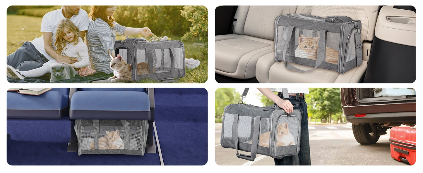 Airline-approved Pet Carrier