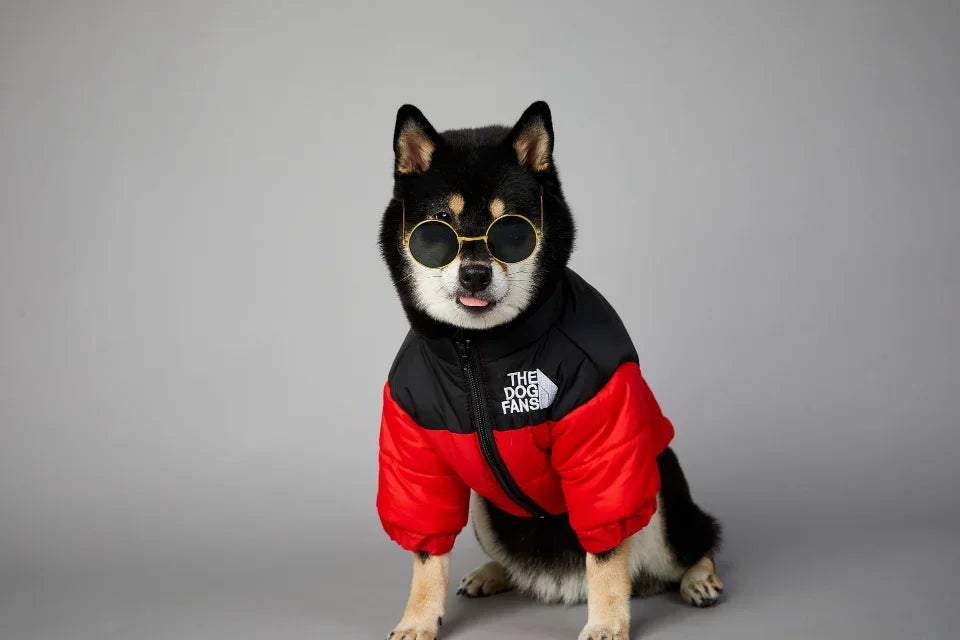 The Dog Fans Winter Down Jacket