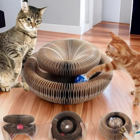 Kitten Curl Foldable Magic Organ Toy