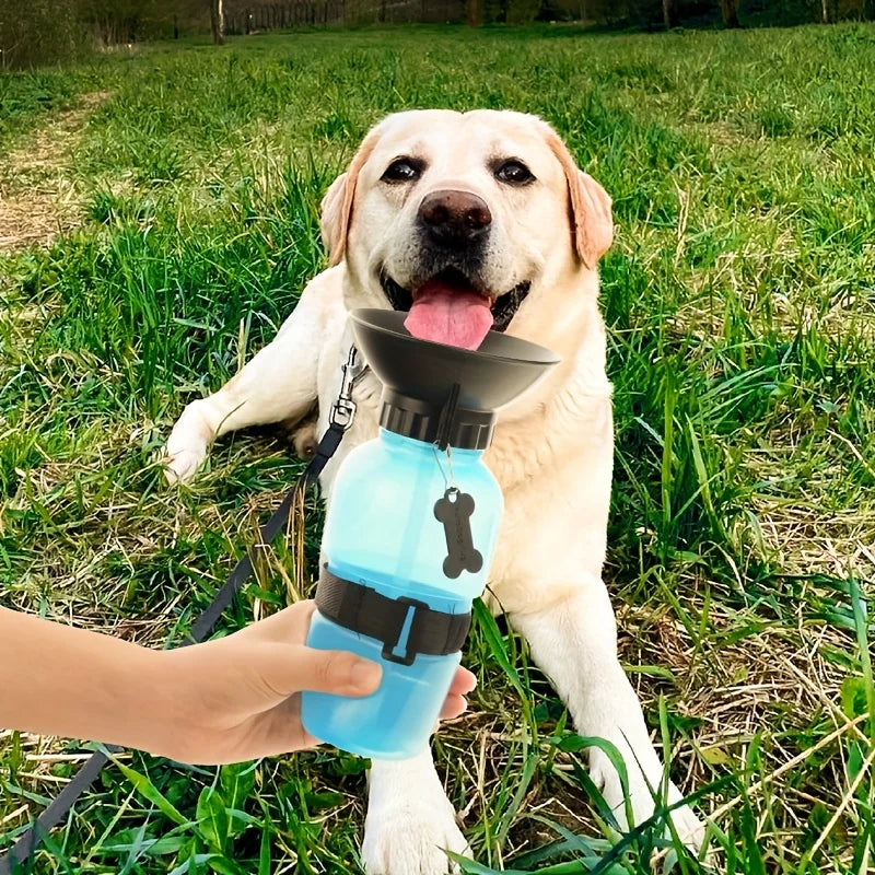 Portable Travel Water Bottle