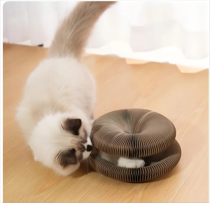 Kitten Curl Foldable Magic Organ Toy