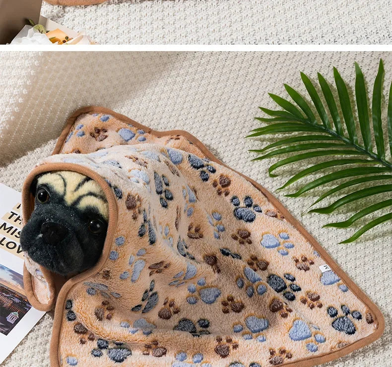Coral Fleece Pet Sleeping Blanket Bed
