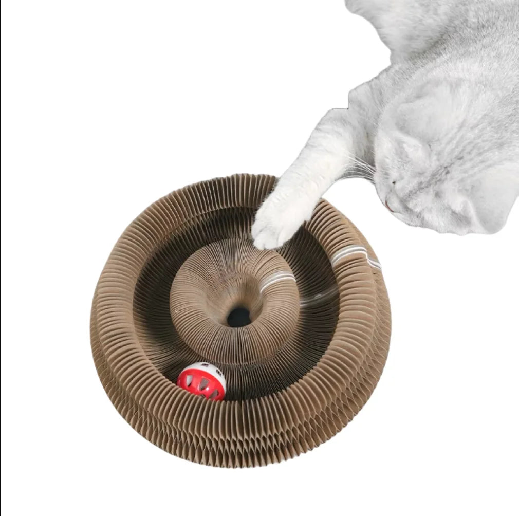 Kitten Curl Foldable Magic Organ Toy