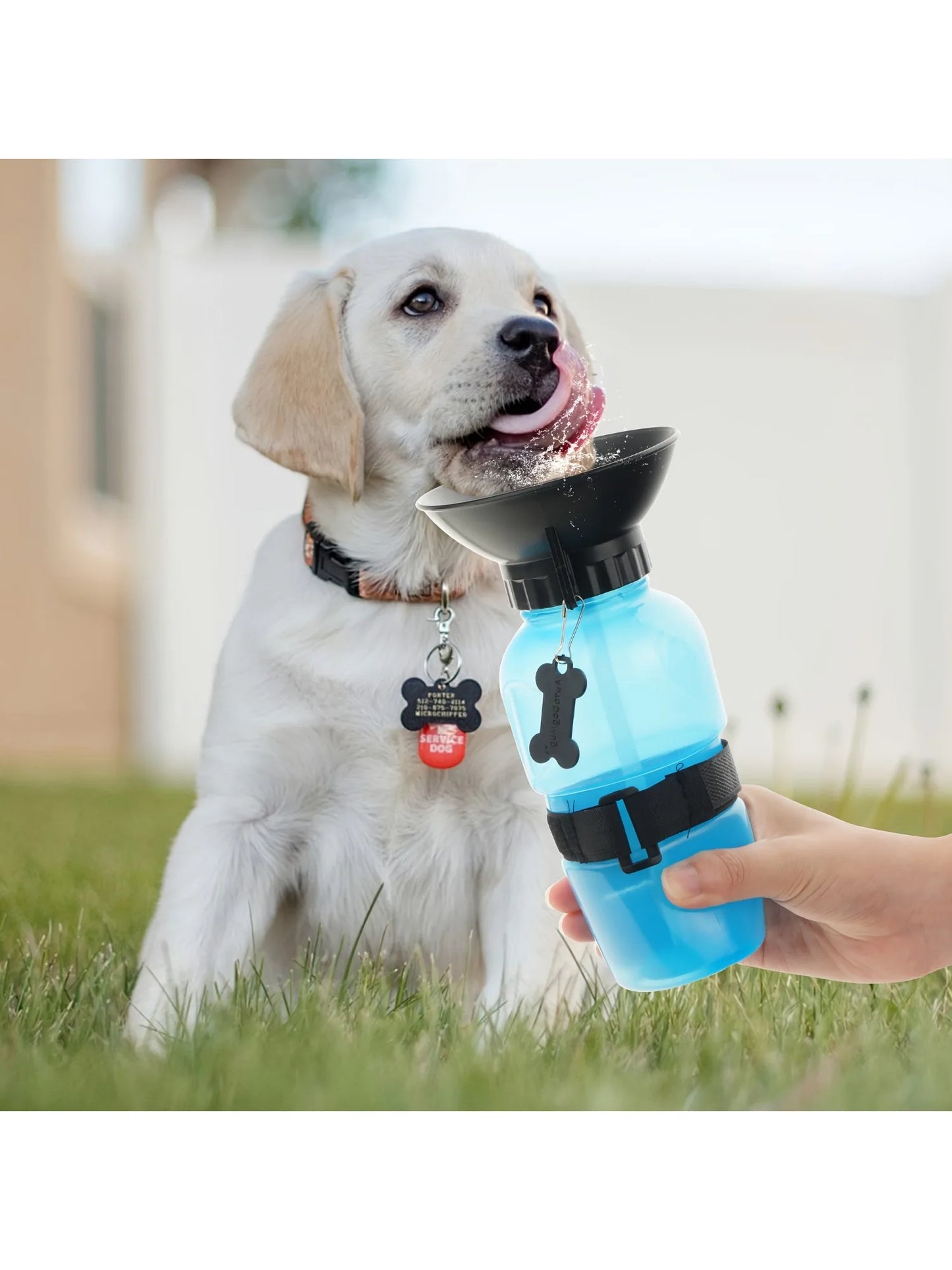 Portable Travel Water Bottle