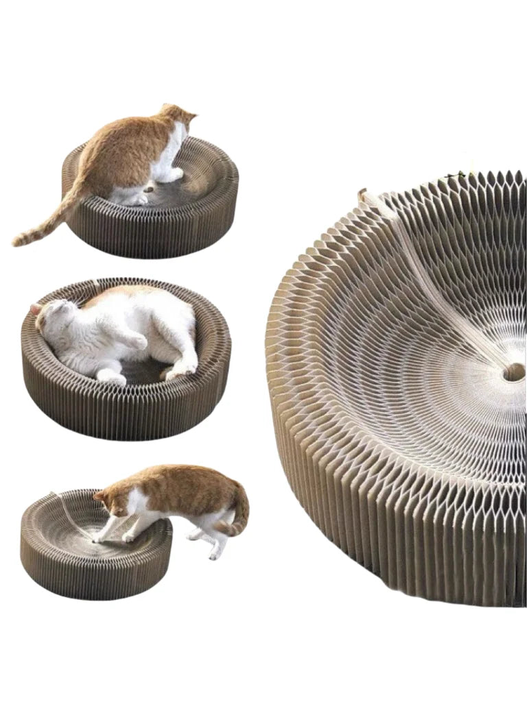 Kitten Curl Foldable Magic Organ Toy