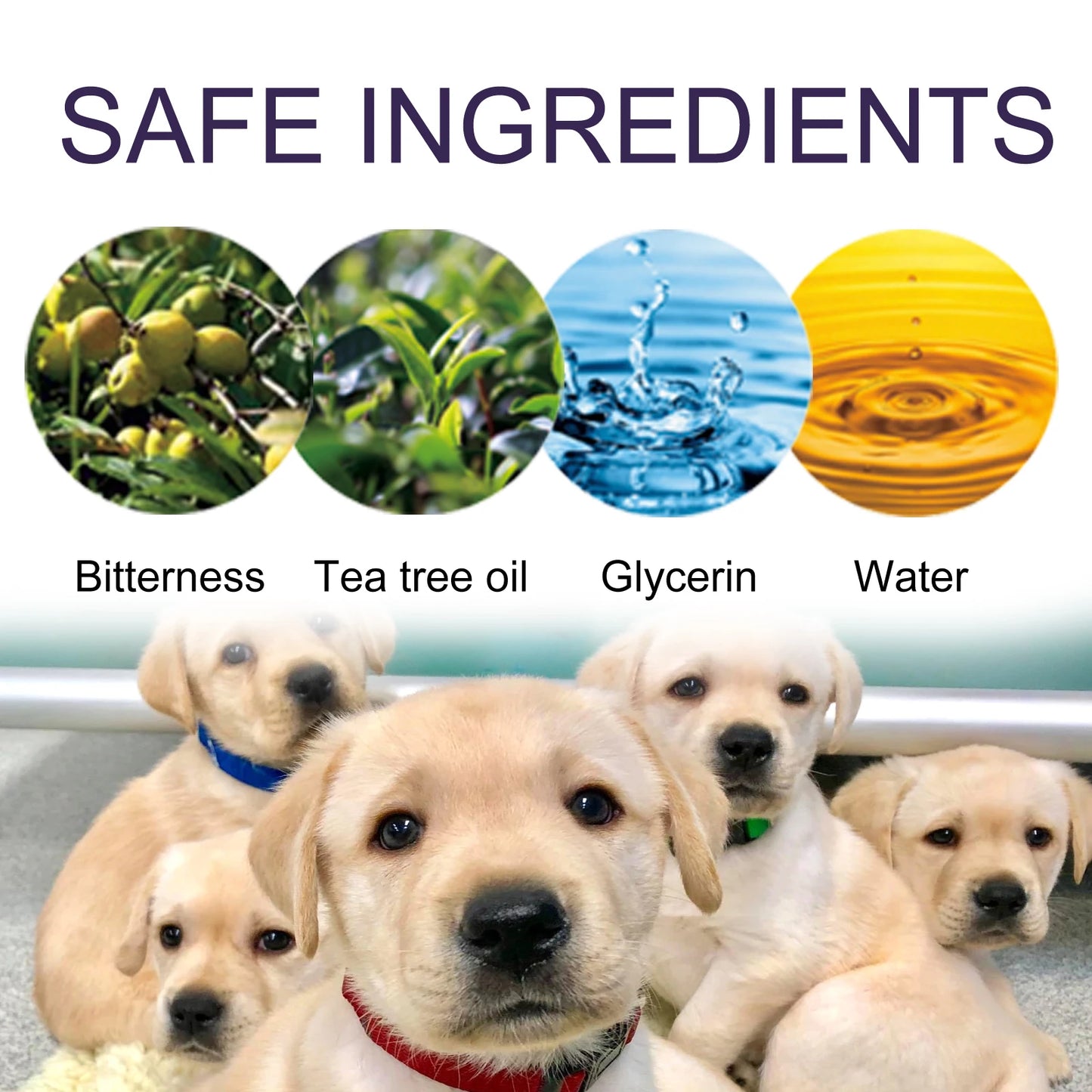 Pet No Chew Spray
