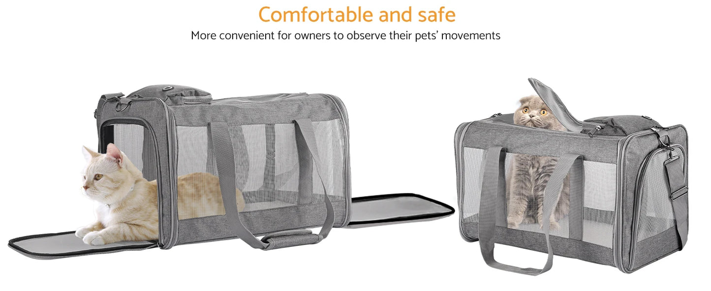 Airline-approved Pet Carrier