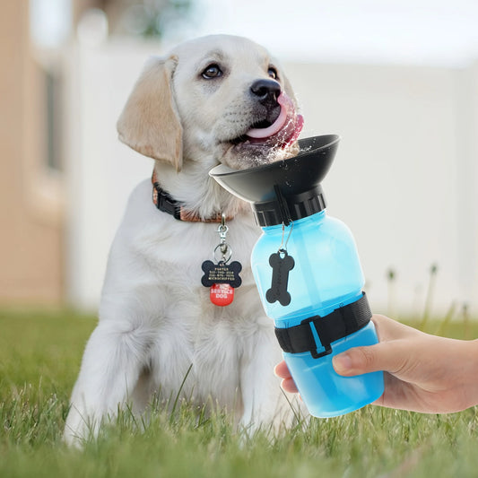 Portable Travel Water Bottle