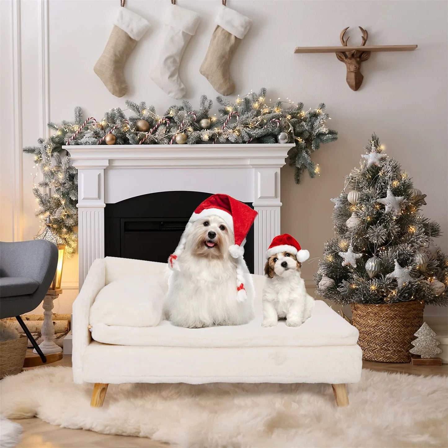 Elevated Pet Bed with Cozy Waterproo Pad