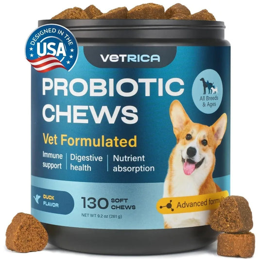 Dog Probiotic Chews for Digestive and Gut Health