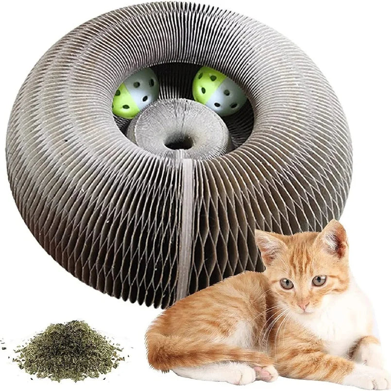 Kitten Curl Foldable Magic Organ Toy