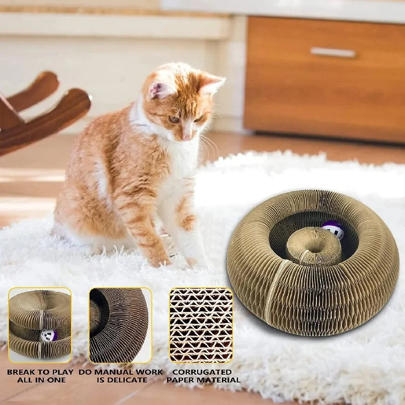 Kitten Curl Foldable Magic Organ Toy