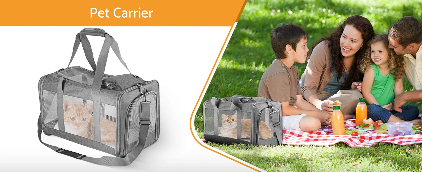 Airline-approved Pet Carrier