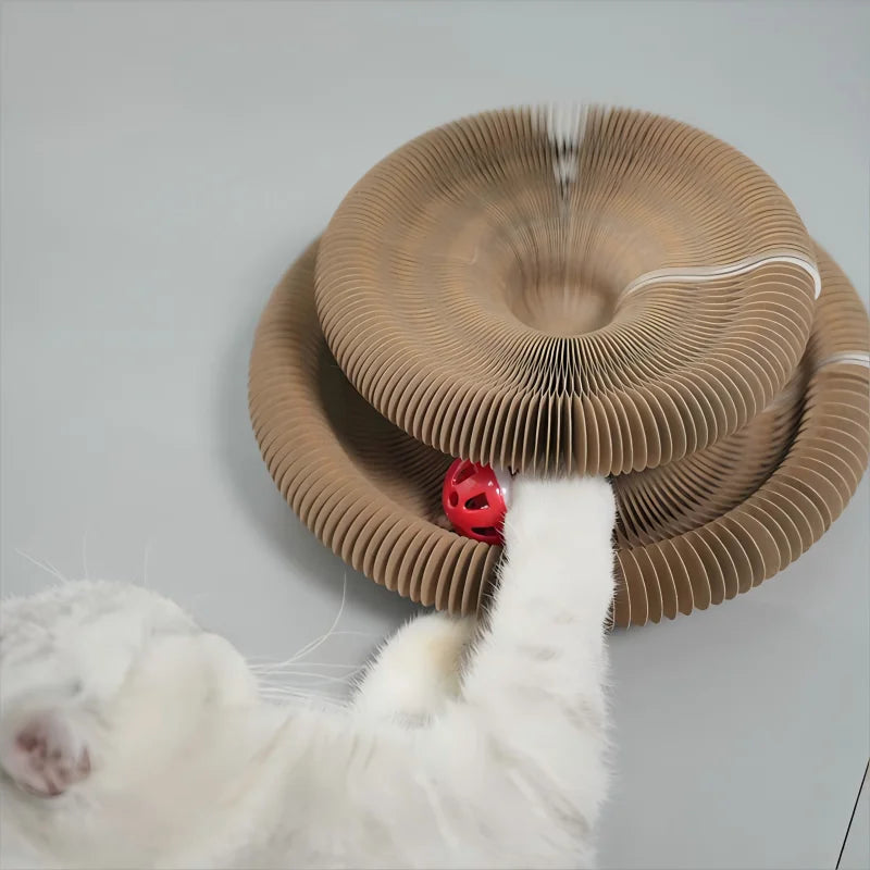 Kitten Curl Foldable Magic Organ Toy