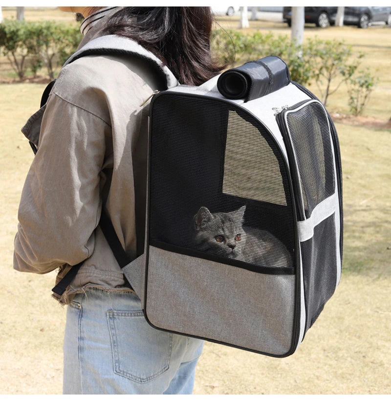 Pet Backpacks