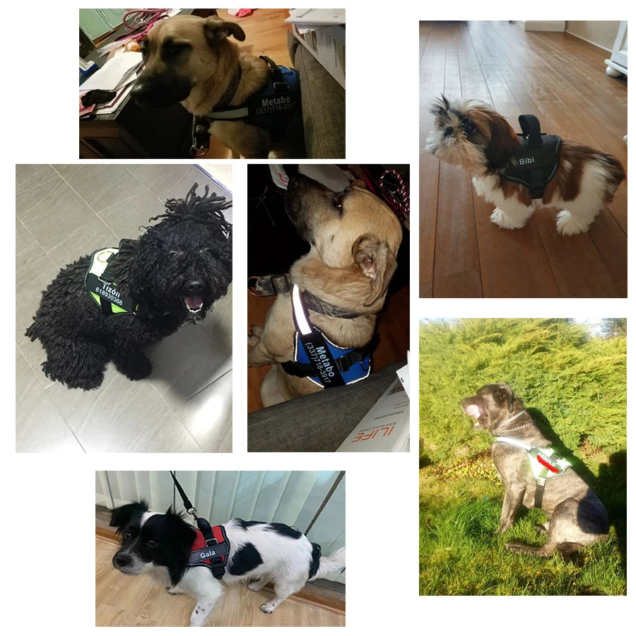 NO PULL Reflective Breathable Adjustable Pet Harness