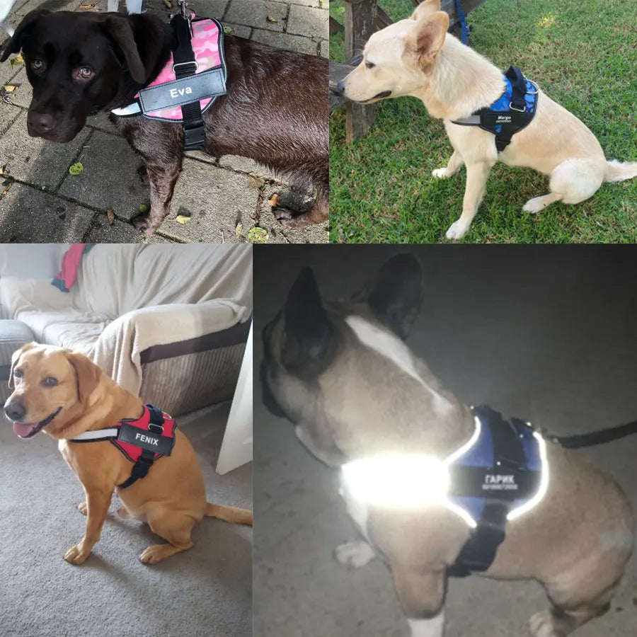 NO PULL Reflective Breathable Adjustable Pet Harness