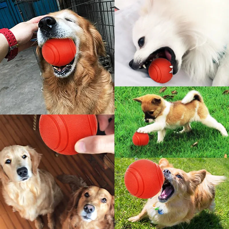 Dog Toy Rubber Ball Toy