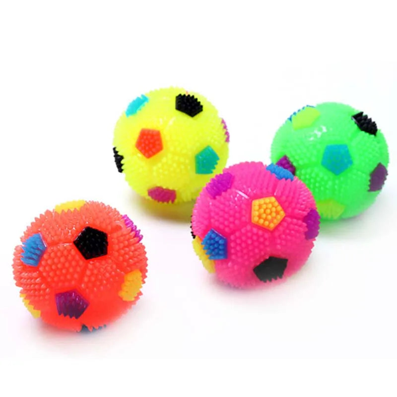 Pet Glowing Night Ball Toy