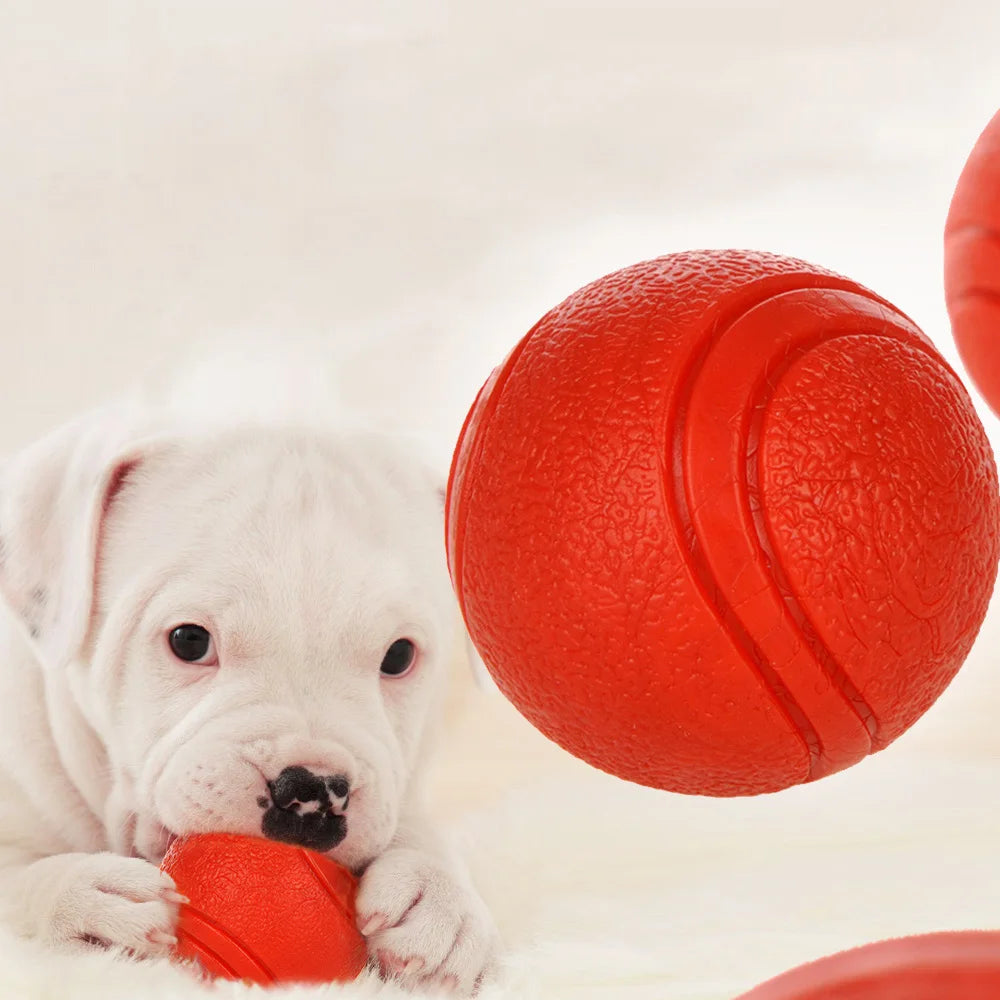 Dog Toy Rubber Ball Toy