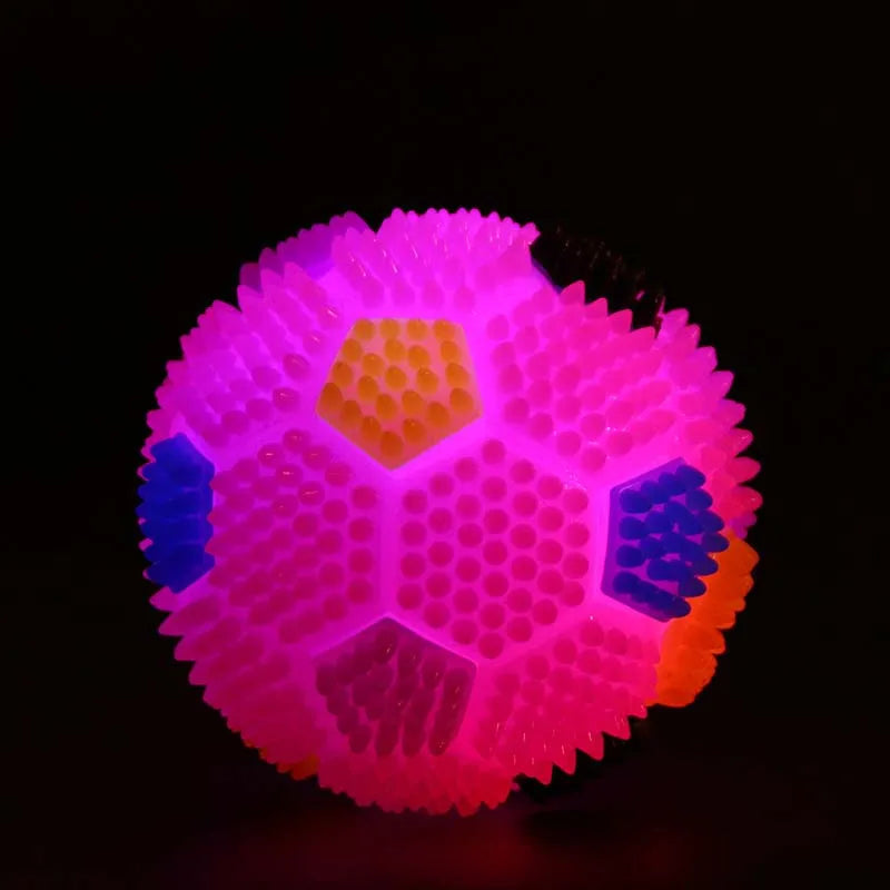Pet Glowing Night Ball Toy