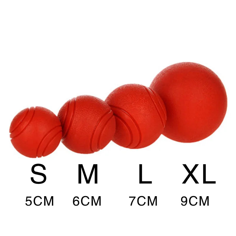 Dog Toy Rubber Ball Toy