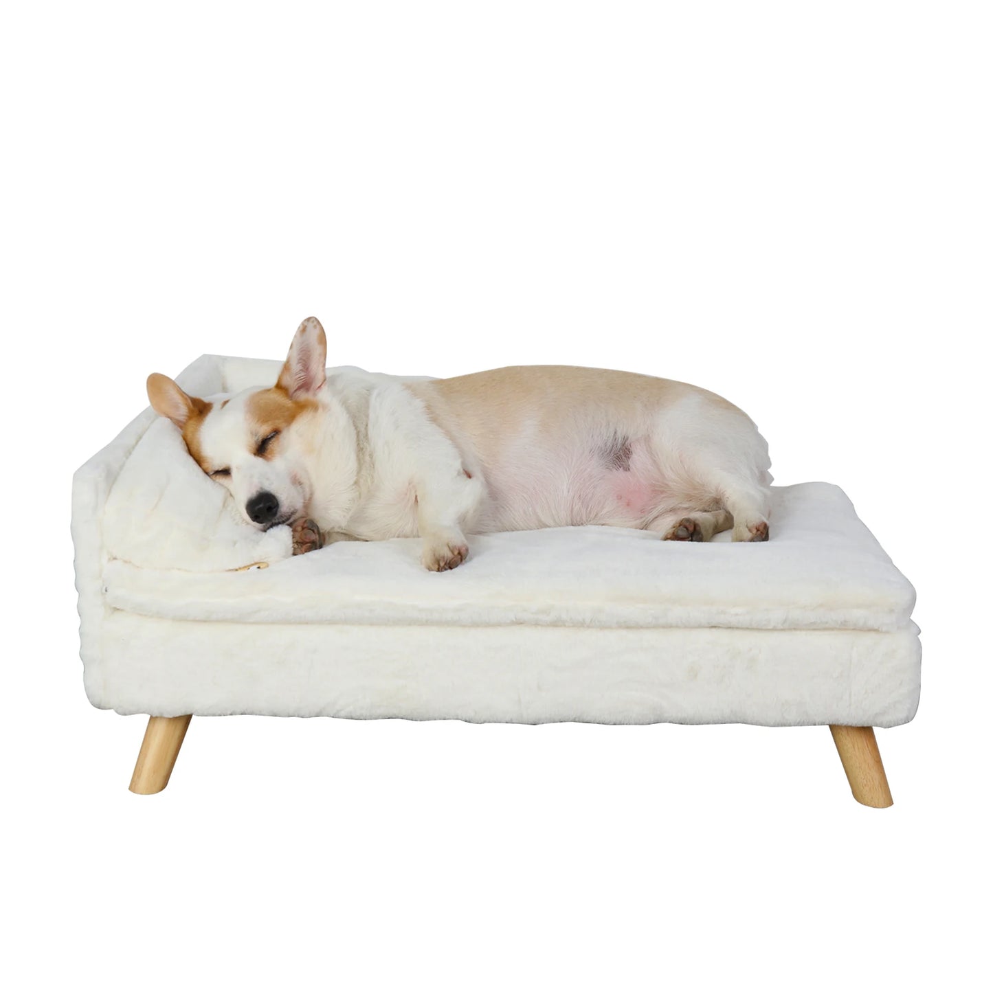 Elevated Pet Bed with Cozy Waterproo Pad