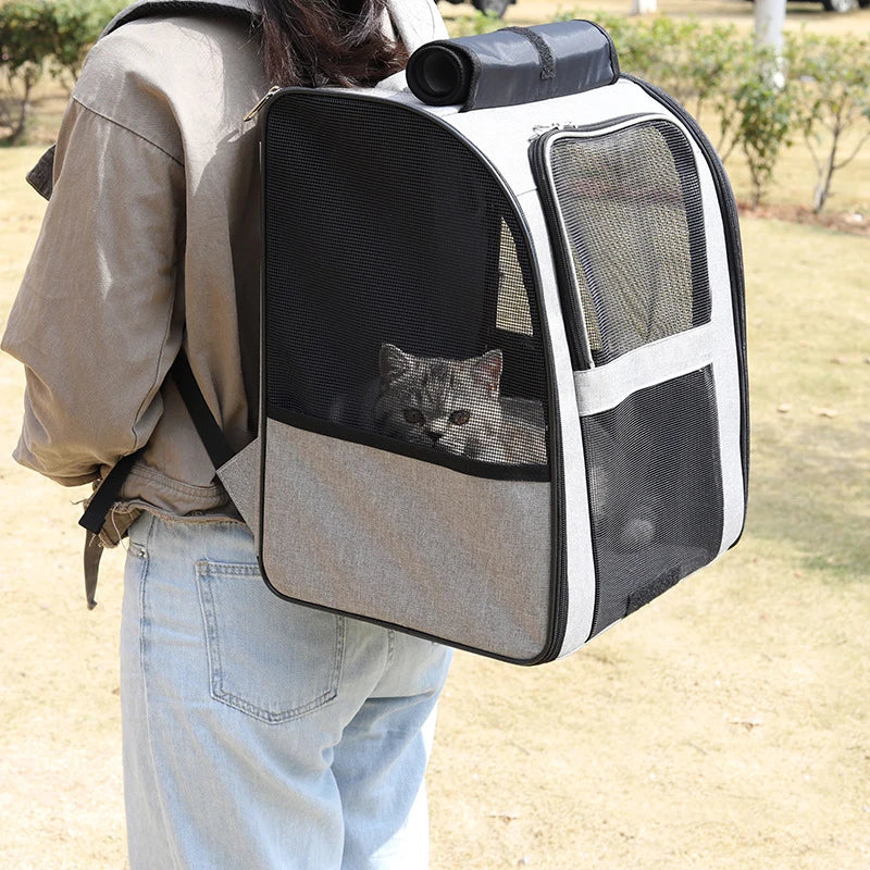 Pet Backpacks
