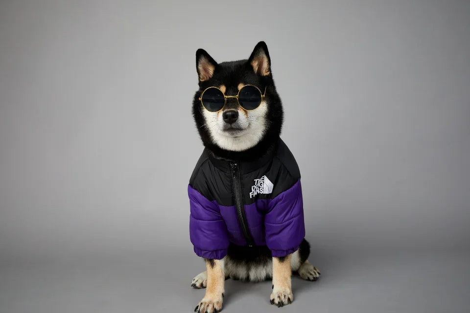 The Dog Fans Winter Down Jacket