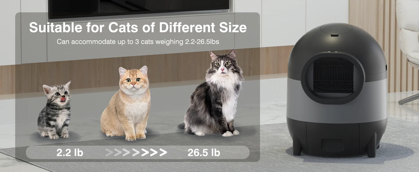 Self-Cleaning Automatic Cat Litter Box