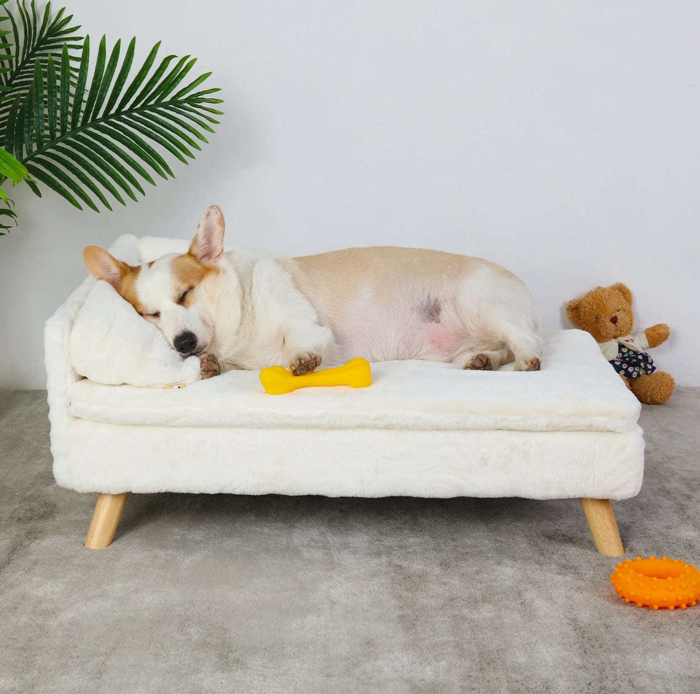 Elevated Pet Bed with Cozy Waterproo Pad