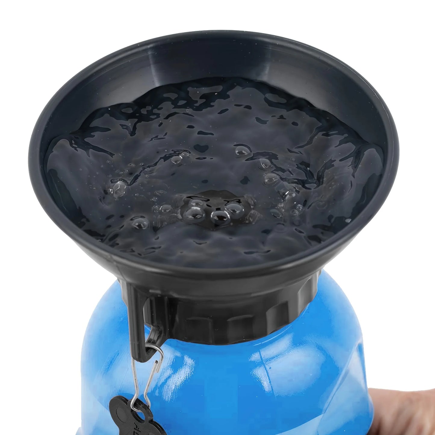 Portable Travel Water Bottle