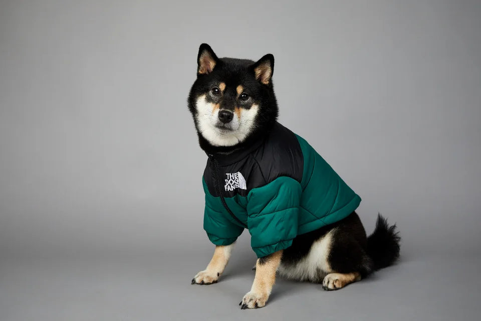 The Dog Fans Winter Down Jacket