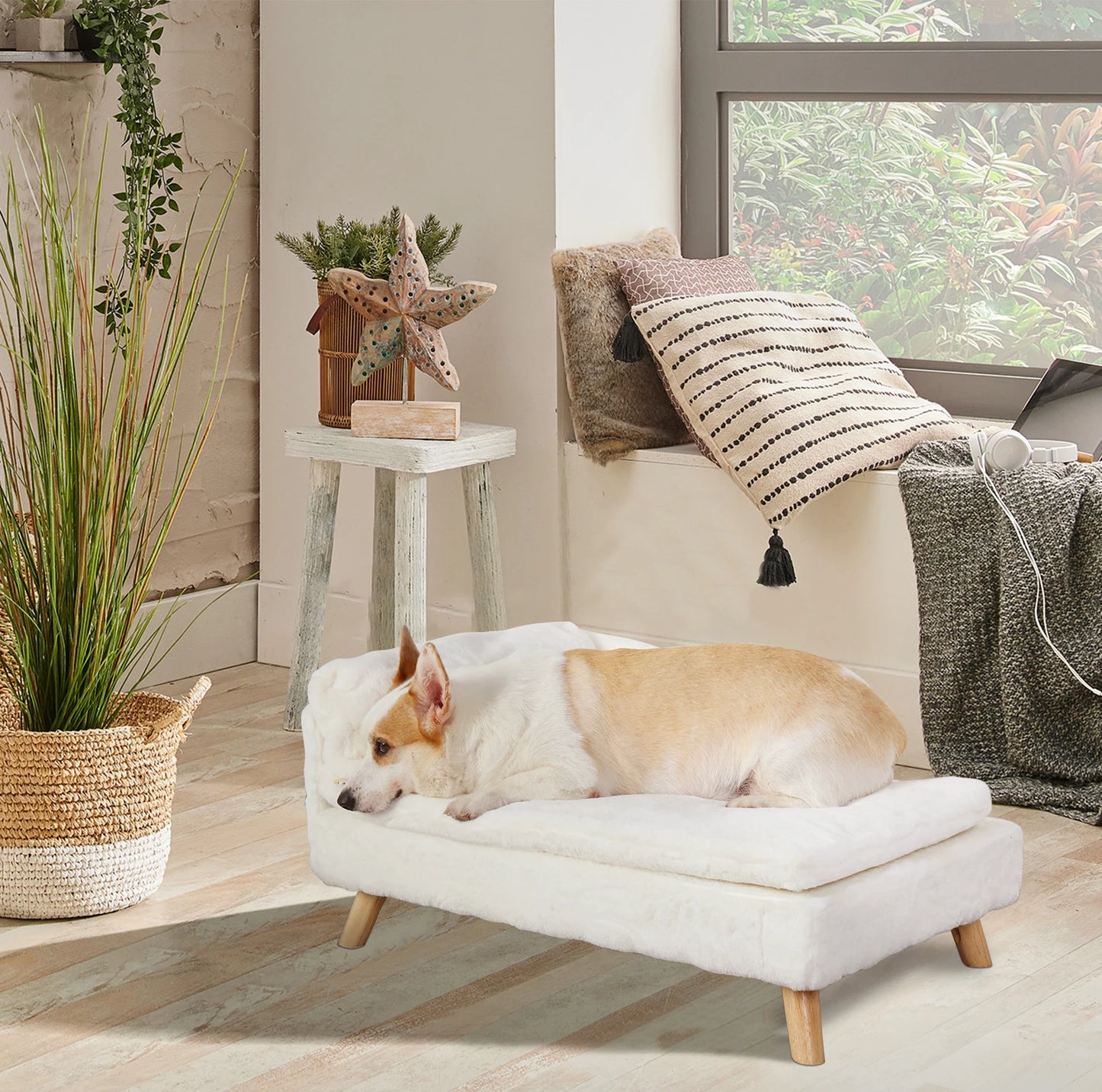 Elevated Pet Bed with Cozy Waterproo Pad