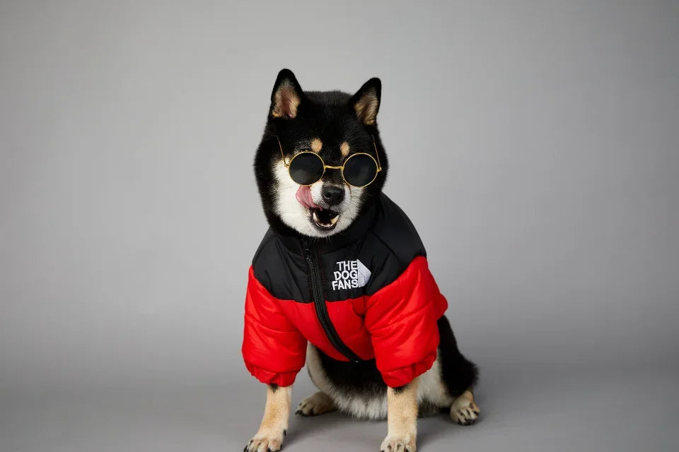 The Dog Fans Winter Down Jacket