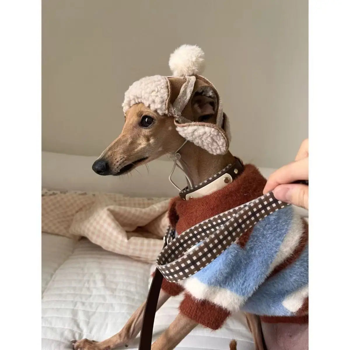 Color Blocked Striped Sweater For Dogs