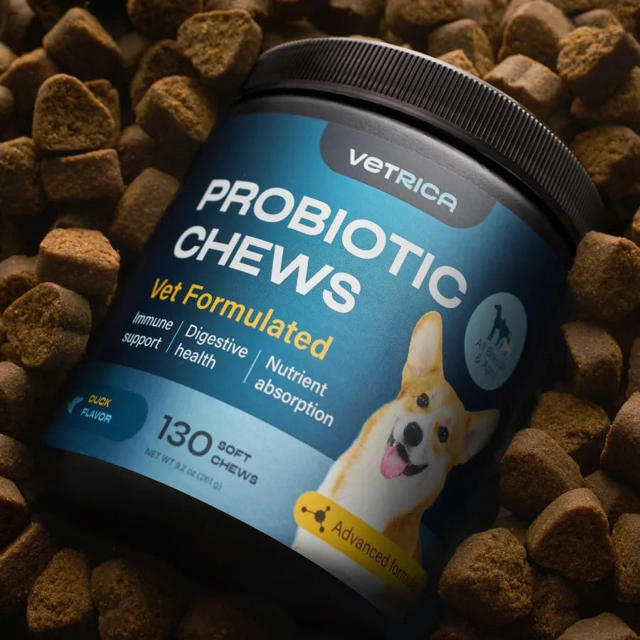 Dog Probiotic Chews for Digestive and Gut Health