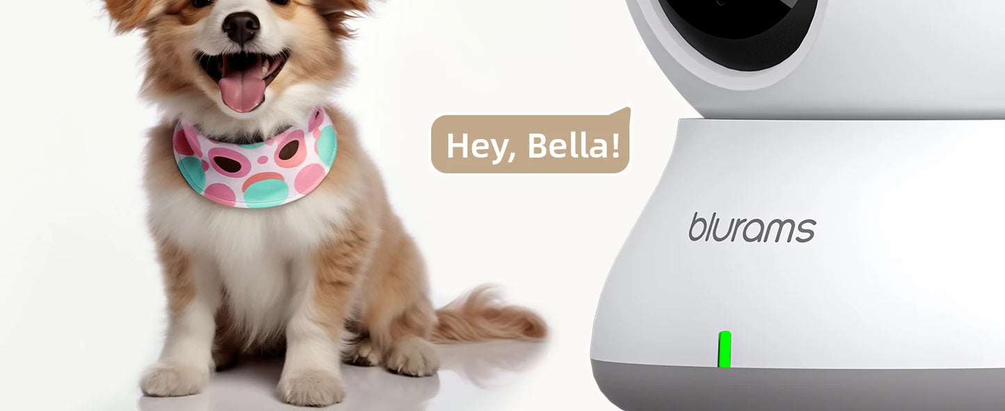 Pet Camera with Phone App for Home Monitoring