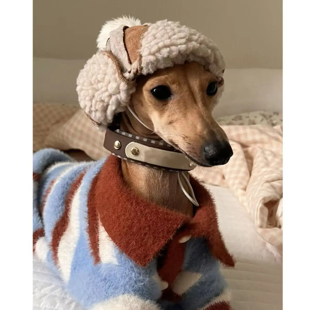 Color Blocked Striped Sweater For Dogs