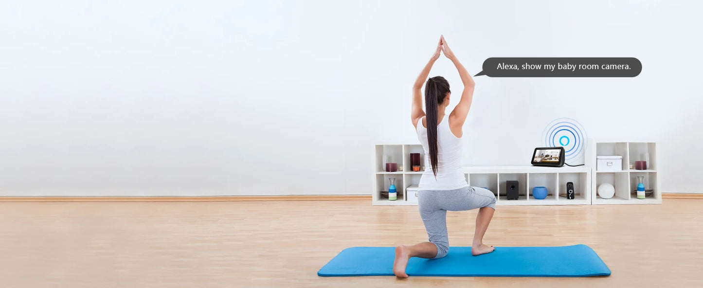 Indoor Camera for Pet Monitoring