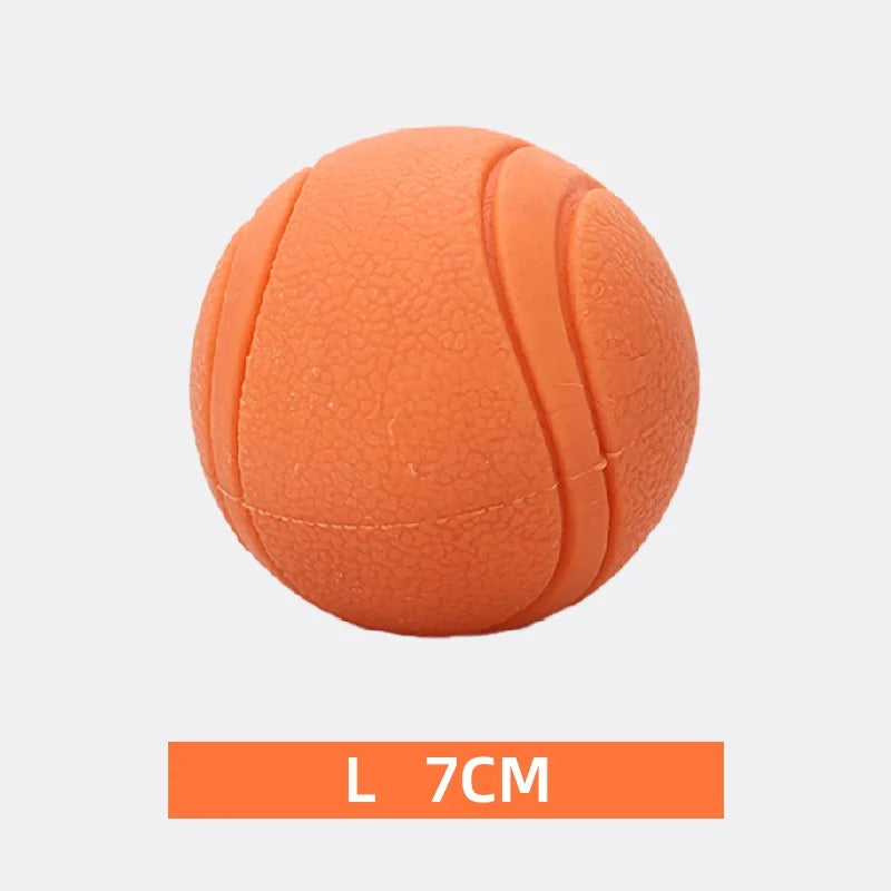 Dog Toy Rubber Ball Toy