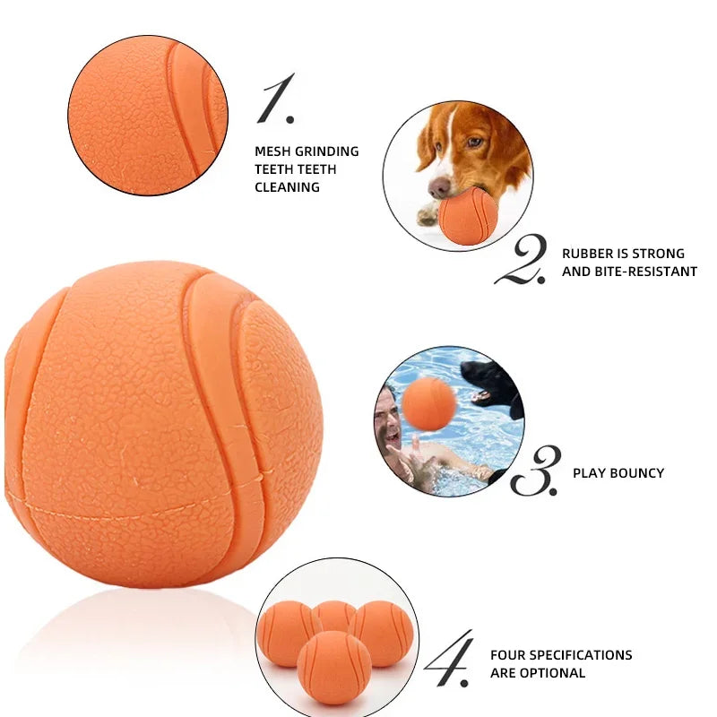 Dog Toy Rubber Ball Toy