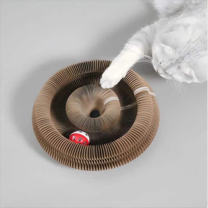 Kitten Curl Foldable Magic Organ Toy