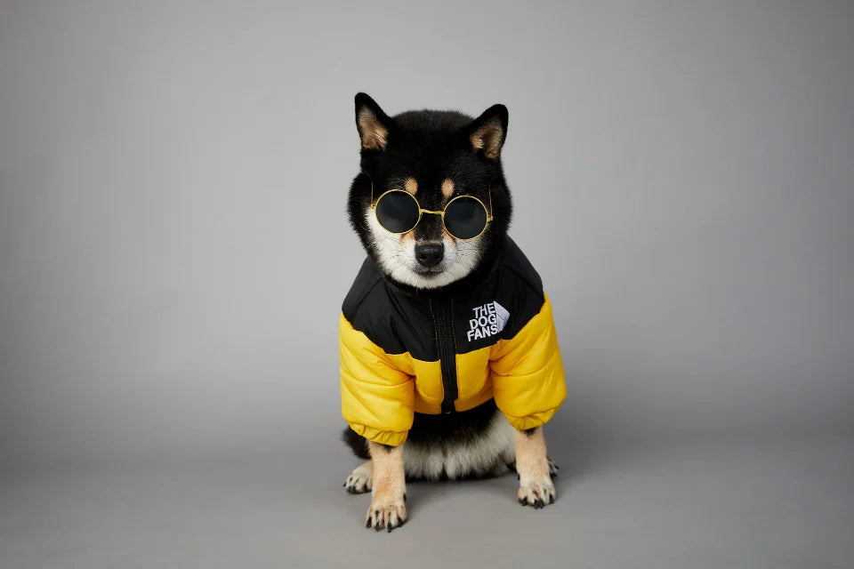The Dog Fans Winter Down Jacket