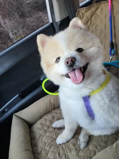 Waterproof Pet Car Seat Cover