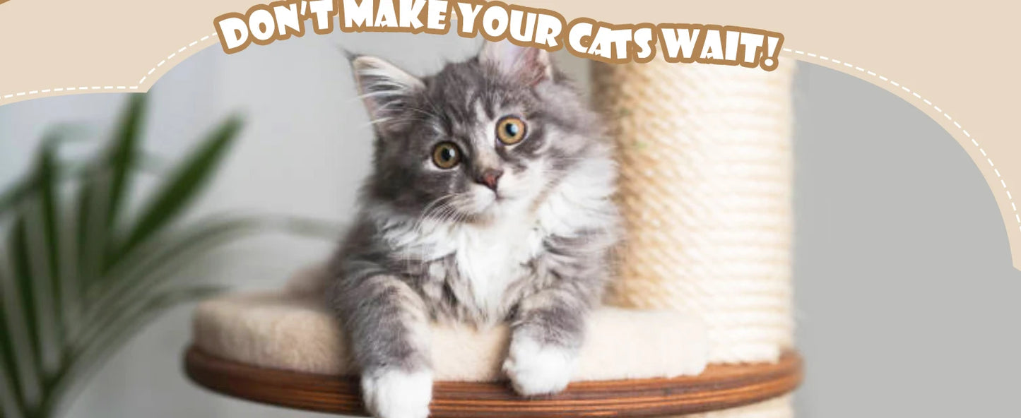 Multi-Level Tall Cat Tree Tower for Indoor Kitties